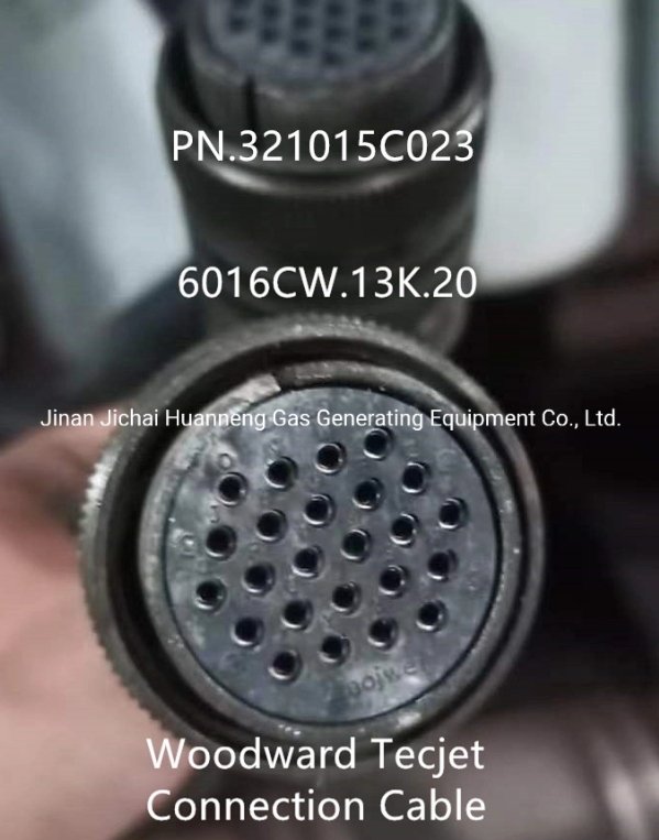 Woodward Tecjet қосылым кабелінің ашасы Woodward Tecjet Connection Cable Plug