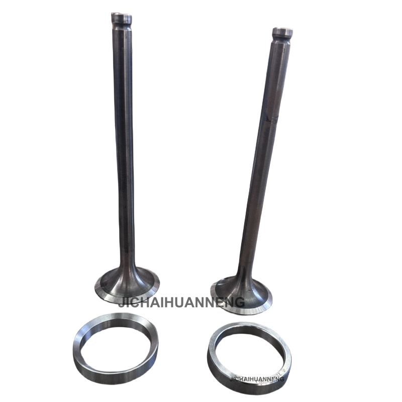 12VB.03.80.04 Inlet Valve ထိုင်ခုံ 12VB.03.80.04 Inlet Valve ထိုင်ခုံ