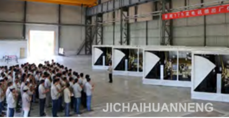 1200GF50 Gas Generator Set