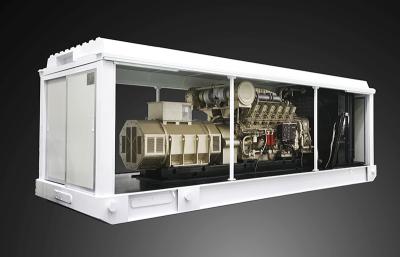 1000kW Diesel Engine Generator