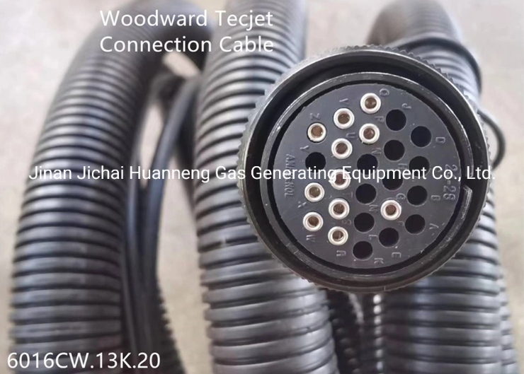 Woodward Tecjet қосылым кабелінің ашасы Woodward Tecjet Connection Cable Plug