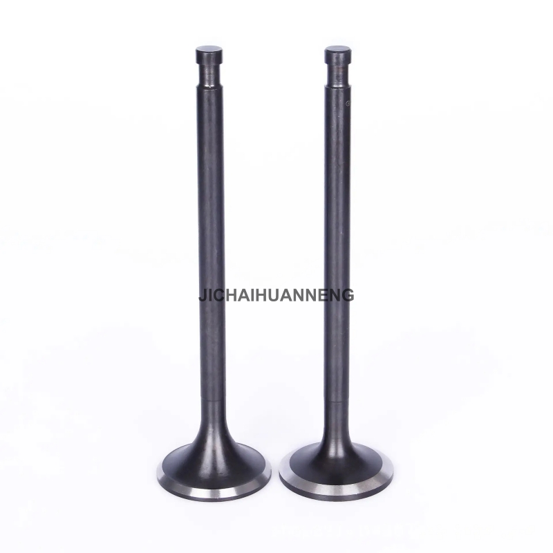 12VB.03.37C Inlet Valve 12VB.03.37C Inlet Valve